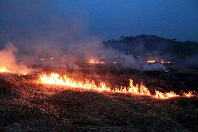 農民晚上偷偷焚燒秸稈 農民晚上偷偷焚燒秸稈