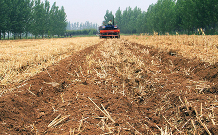 秸稈取于農村，用于農村