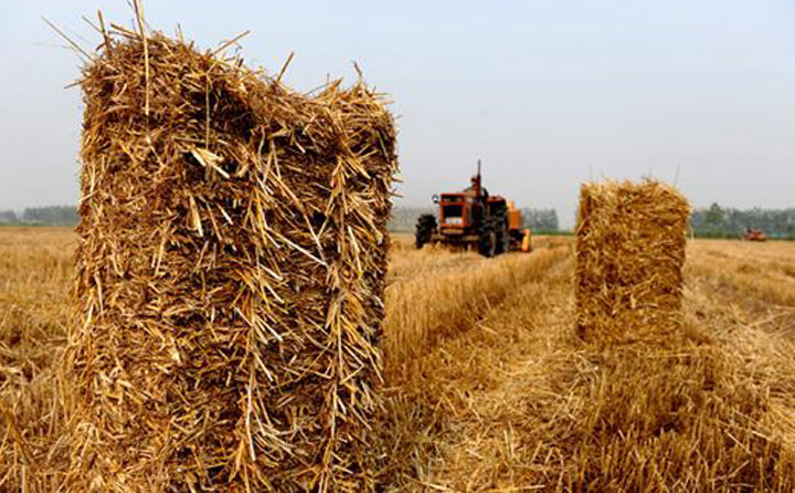 小麥秸稈打捆回收 小麥秸稈打捆回收